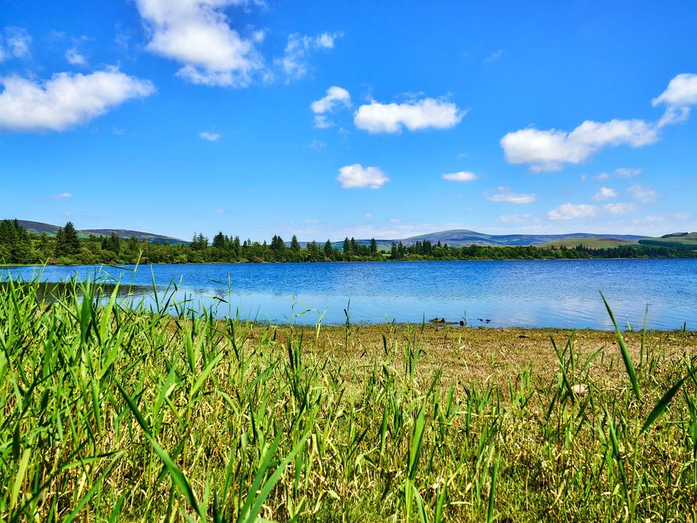 A lake with grass and trees under a blue sky at West Lodge in Kirriemuir