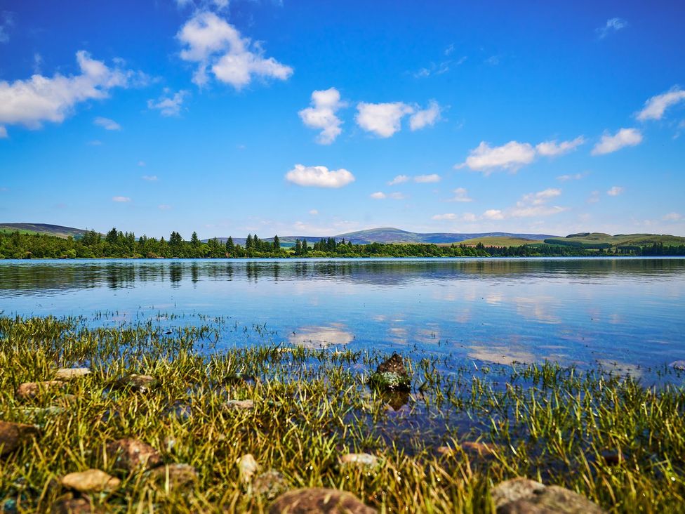 A lake with grass and rocks near the shore at West Lodge Kirriemuir