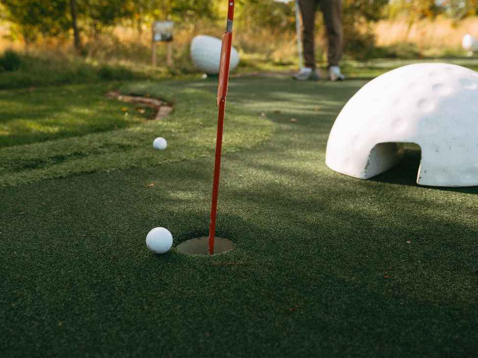 A putting green with a golf ball near a hole at The Oasis Great Ayton