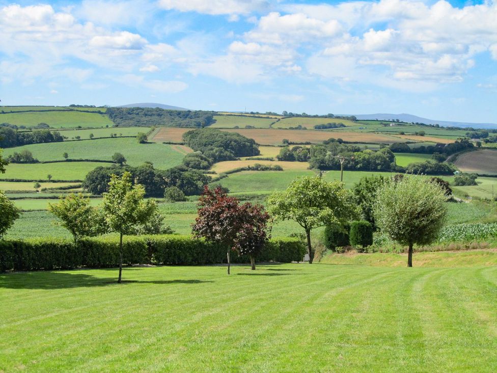 A scenic view of hills and fields with trees at Grange Cottage in Crediton
