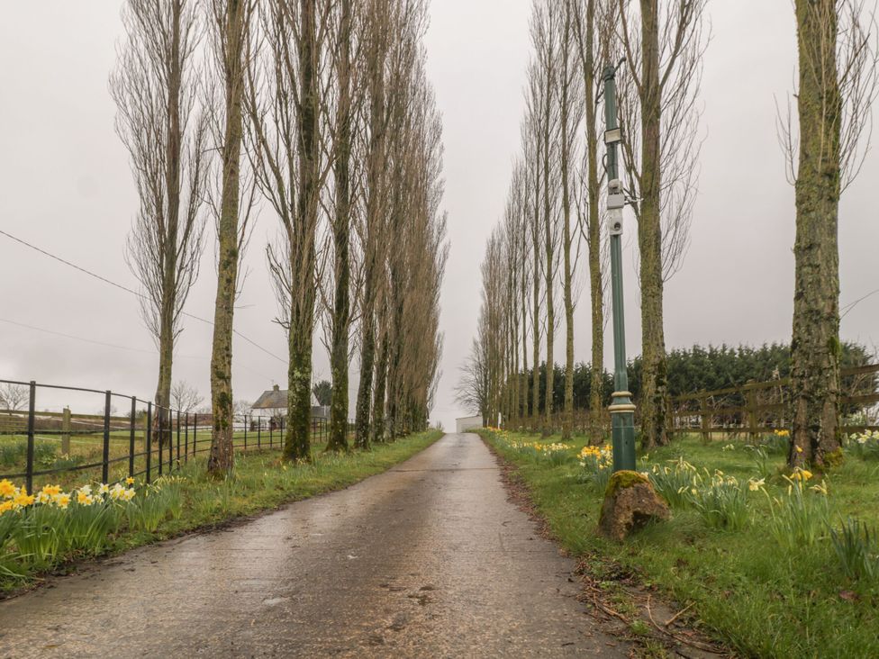A pathway lined with trees and daffodils leading to a house at The Stables in Sturminster Newton