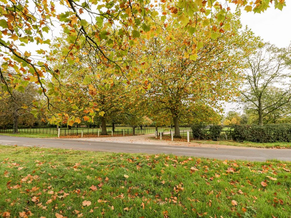 A view of trees and grass beside a road at The Old Swill House in Foxham