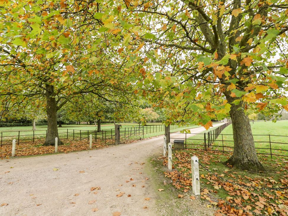 A pathway surrounded by trees and a fence at The Old Swill House in Foxham