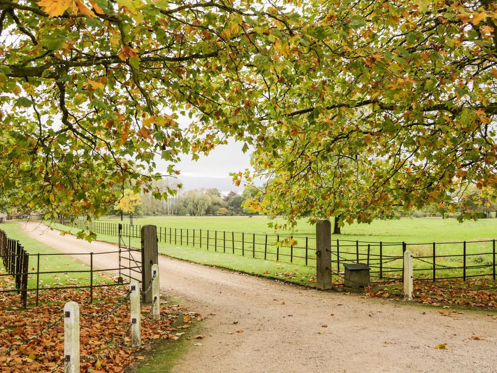 A path leading to a field with a gate and surrounding trees at The Old Swill House in Foxham