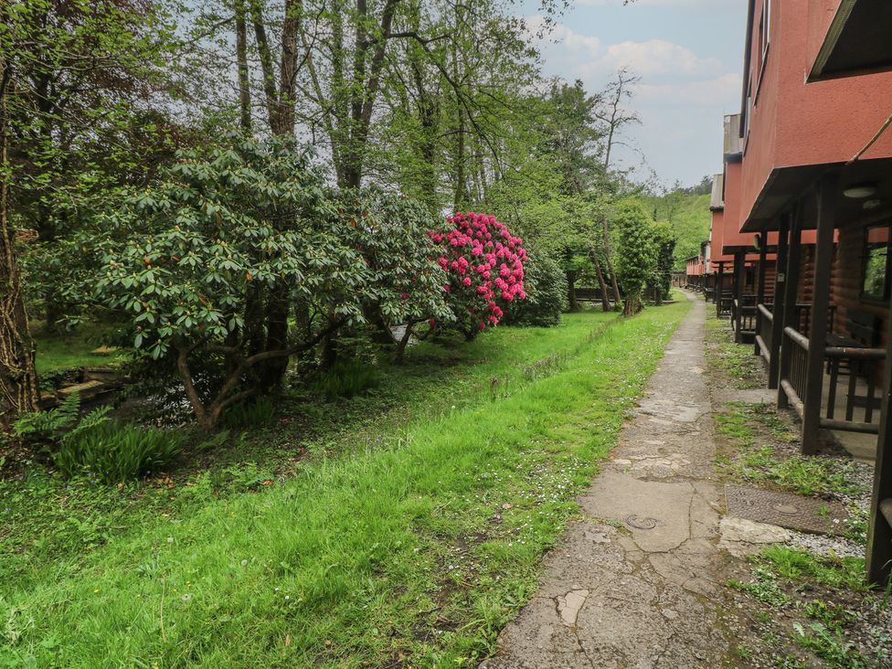 An outdoor area with a pathway between bushes and flowers at Cabin No. 16 - Salt and Fern Cabins Goytre near Port Talbot