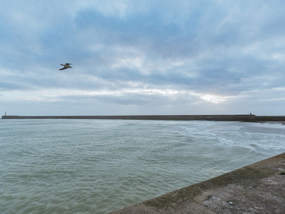 A coastal scene with water and a bird flying at 5 Mariners Wharf Newhaven