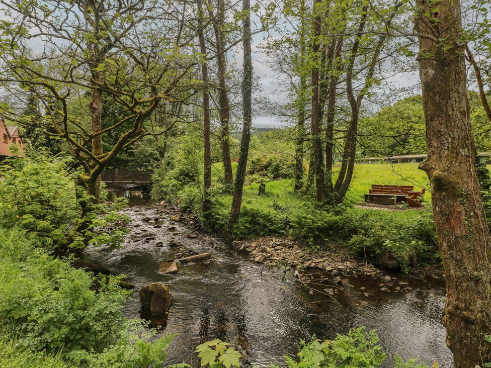 A stream flowing through greenery with a bench nearby at Cabin No. 2 - Salt and Fern Cabins Goytre near Port Talbot