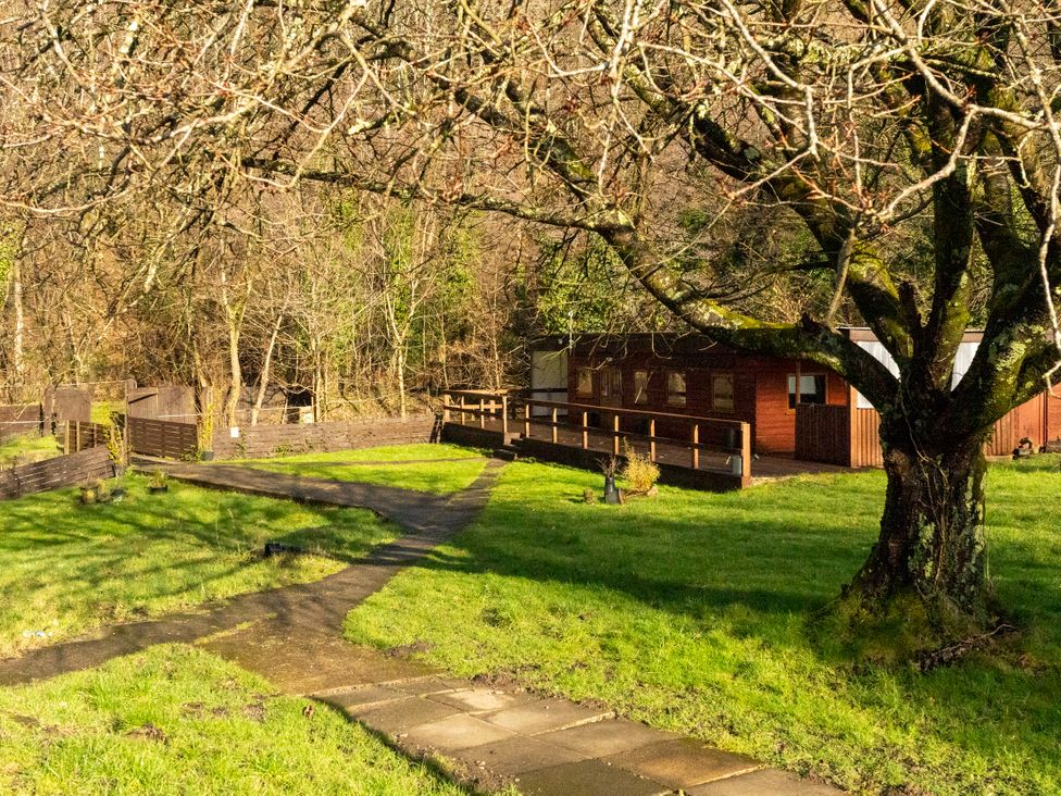 A cabin with a pathway and tree in a garden at 3-bedroom cabin (3 of 13) Port Talbot