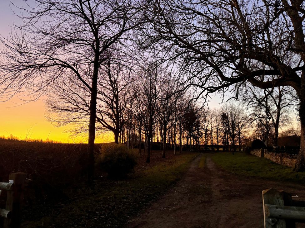 A path with trees at sunset at Cotswolds Farmhouse Cottage