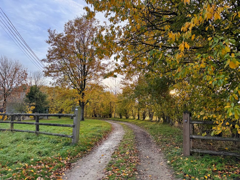 A pathway surrounded by trees at Cotswolds Farmhouse Cottage