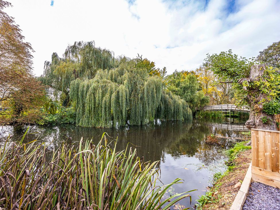 A garden with a pond and willow trees at 8 Riverside Mews in Derby