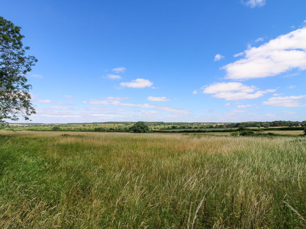 A landscape view with grass and trees at Barn Owl Cottage in Carlton near Harrold