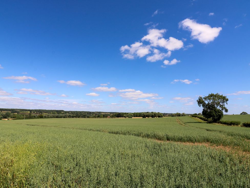 A field with trees under a blue sky at Barn Owl Cottage Carlton near Harrold