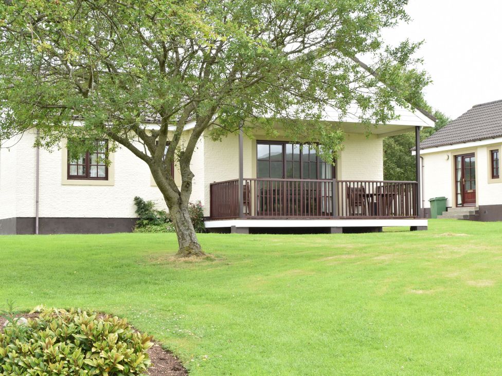 A house with a deck and tree in the outdoor area at Arran Lodge Spa in Dailly