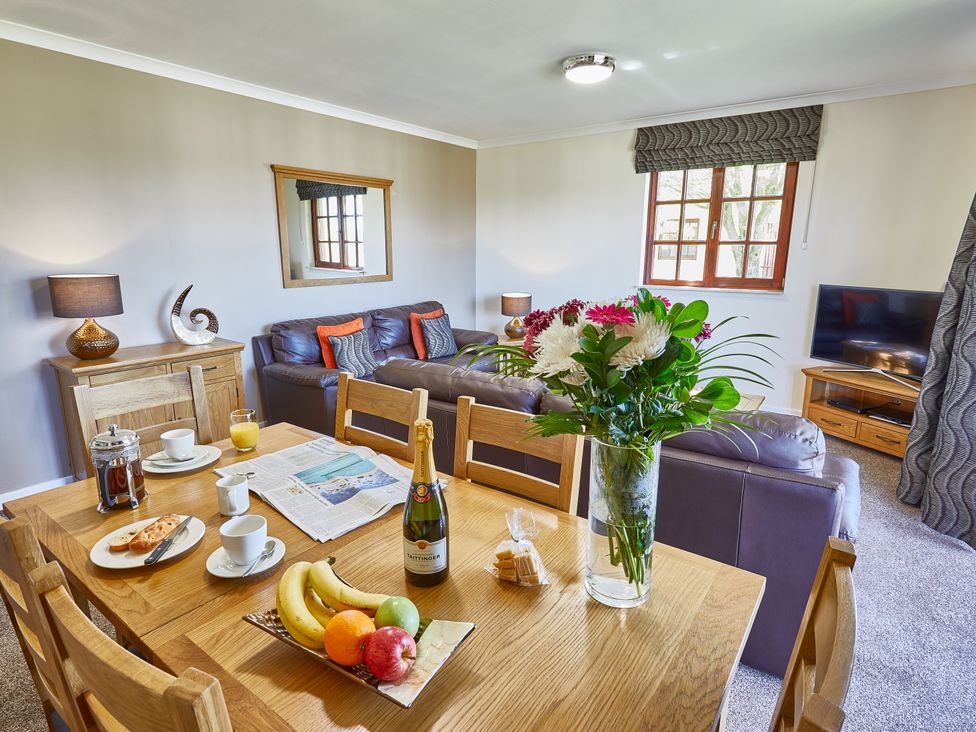 Brunston (Pet) - Scottish Lowlands - 1193436 - thumbnail photo 4