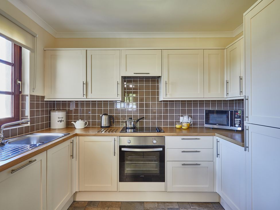 Brunston (Pet) - Scottish Lowlands - 1193436 - thumbnail photo 6