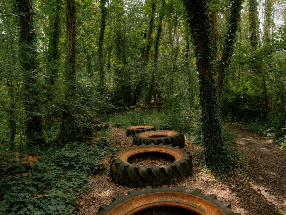 A forest path with tires on the ground at Standard Safari Tent in Fair Oak