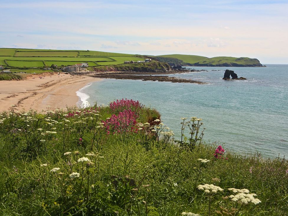 A beach with rocks and flowers near the water at 8 Thurlestone Beach in Kingsbridge
