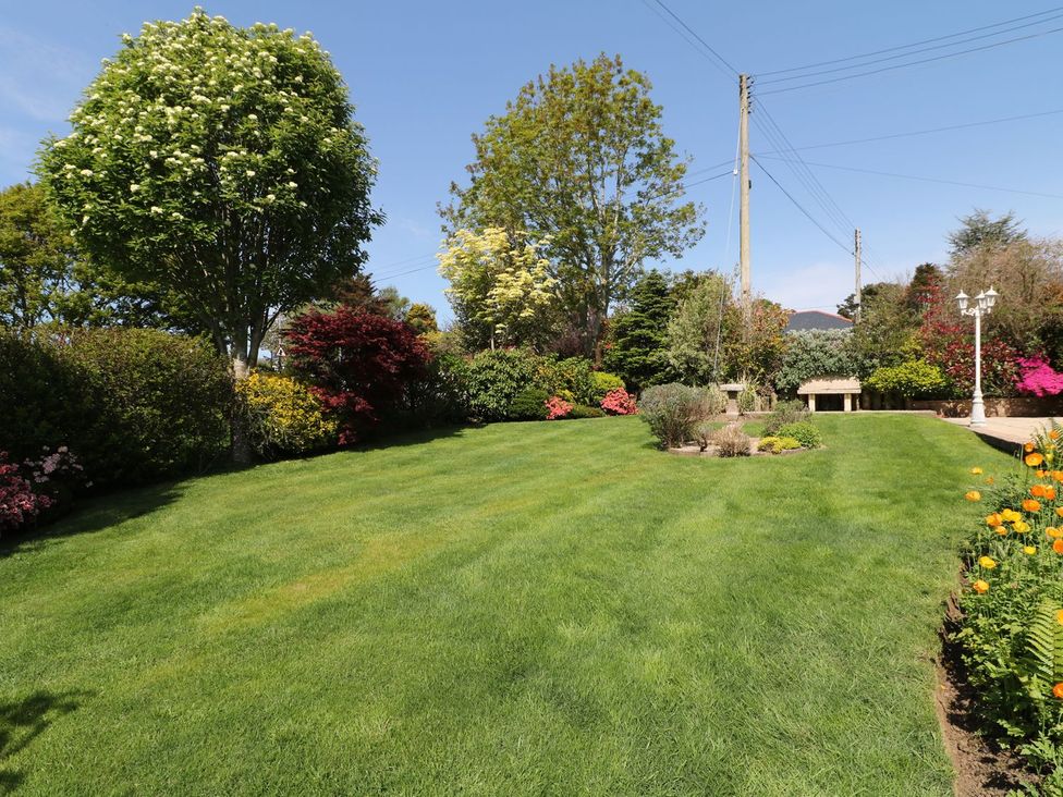 A garden with grassy area and various plants at Llwyn Derw in Talybont