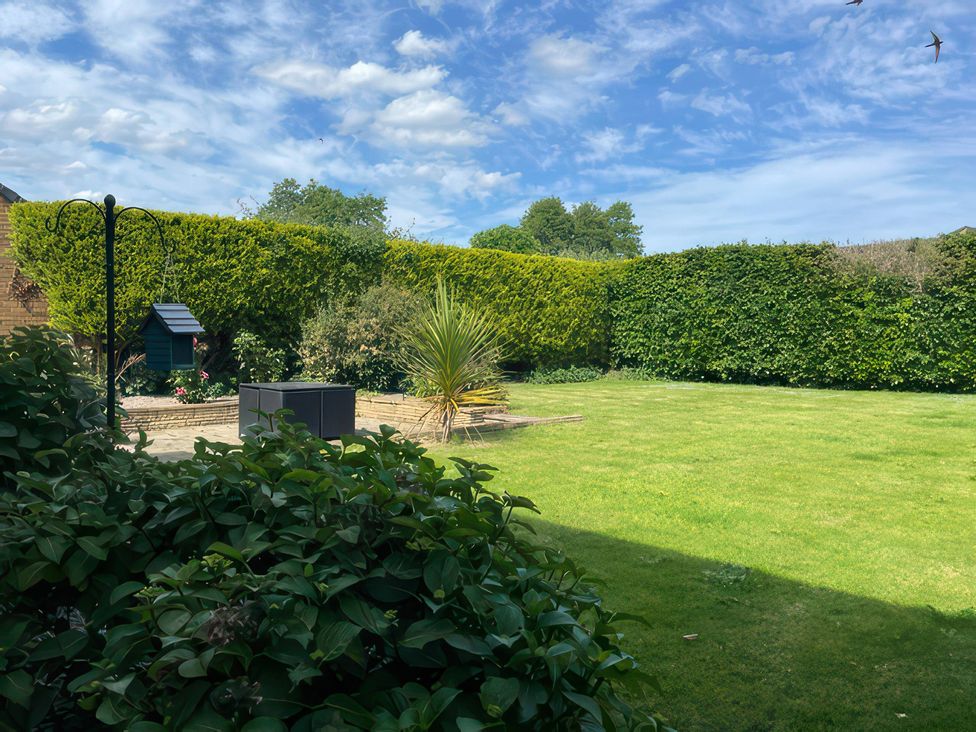 A garden with grass, hedges, and a bird feeder at Thorntons House, Morton-On-Swale