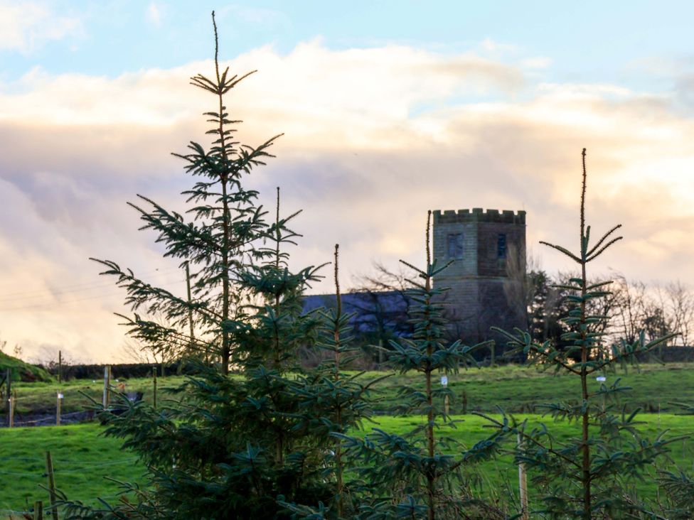 A view of a church tower among trees in a field at Rosefinch Cabin Scarborough