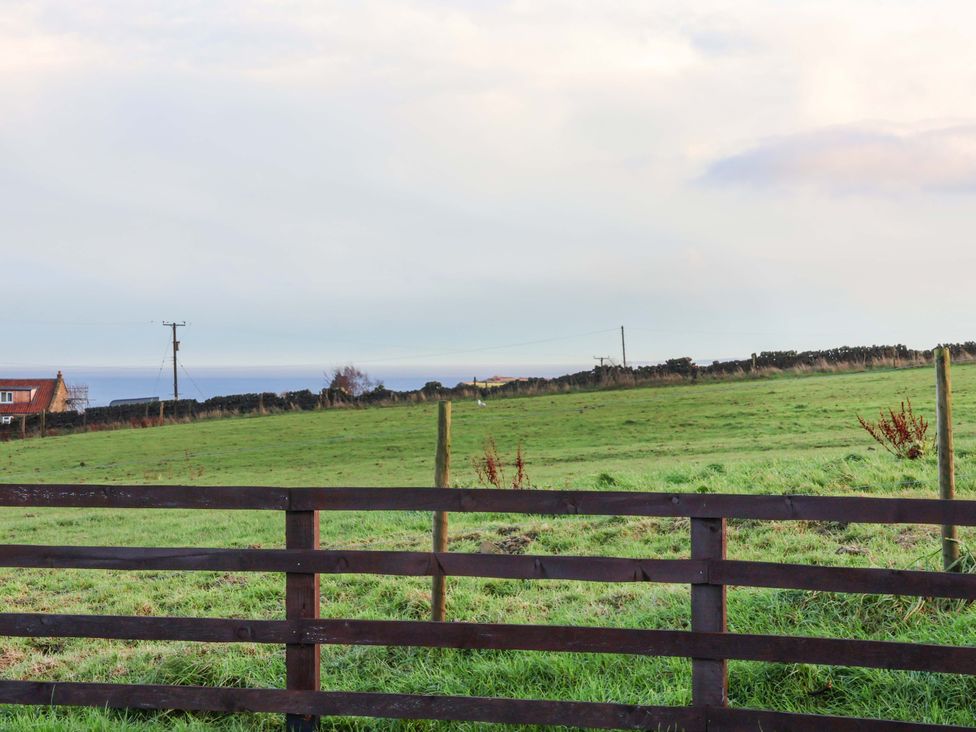 A view of a grassy area with a fence and a house at Swift Cabin Scarborough