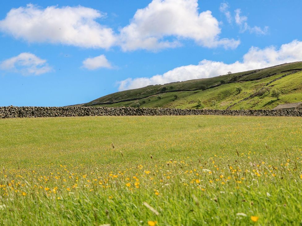 A field with grass and flowers at Wayside Farm in Richmond