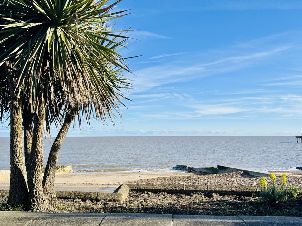 A beach view with a palm tree and pier at 11 Langer Road Felixstowe