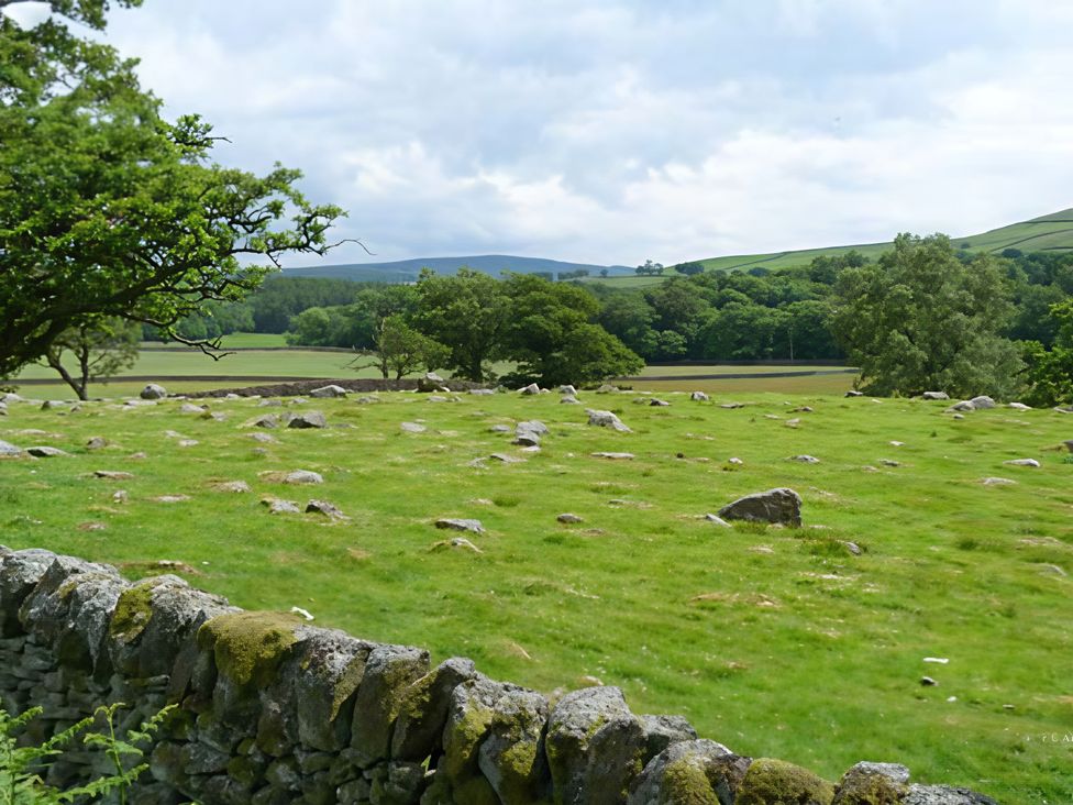 A landscape with grass, stones, trees, and a stone wall at Beningborough