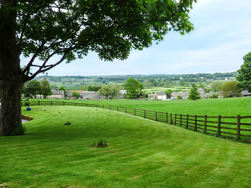 A garden view with a tree and houses in the background at Beningborough