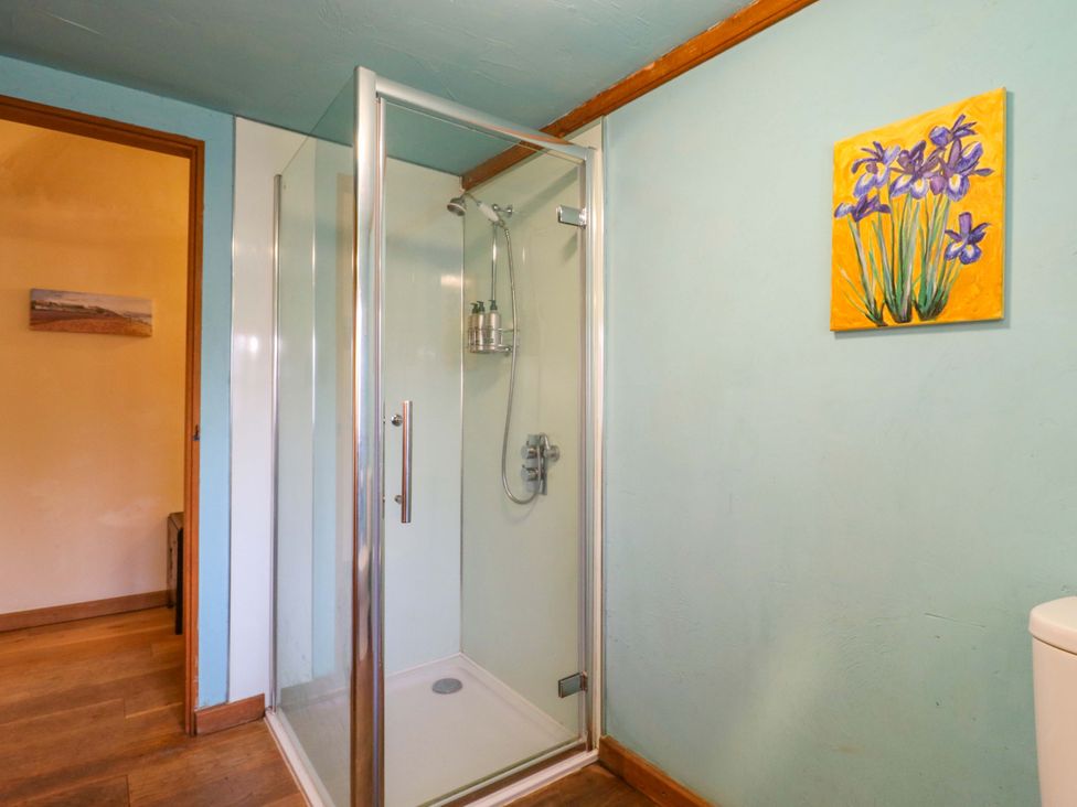 A bathroom with a shower and toilet at The Old Cow Shed in 