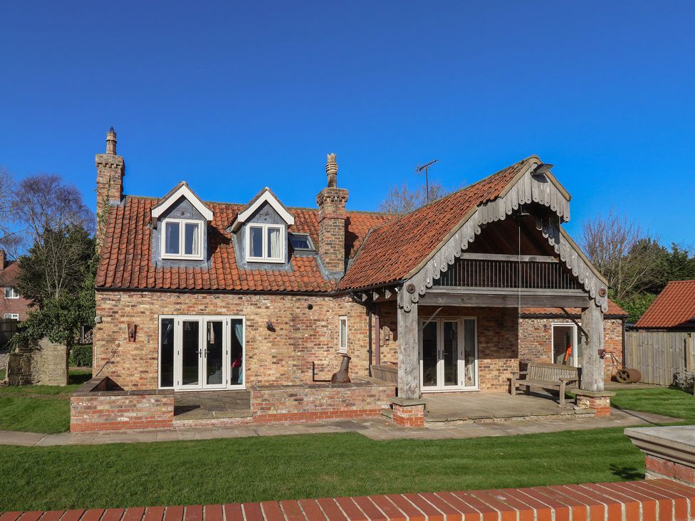 Redwoods -  - 1193618 - thumbnail photo 1