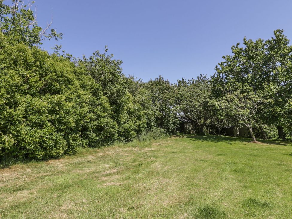 A garden area with grass and trees at Falconers Cottage