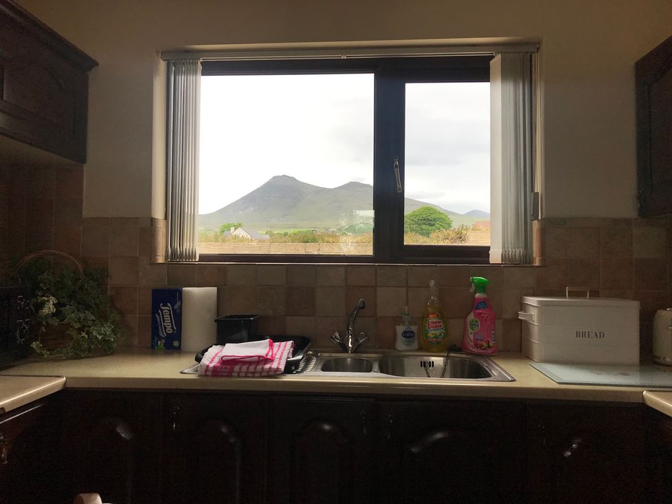 A kitchen with a sink and cleaning supplies at 87 Ballyveaghmore Road in Newry