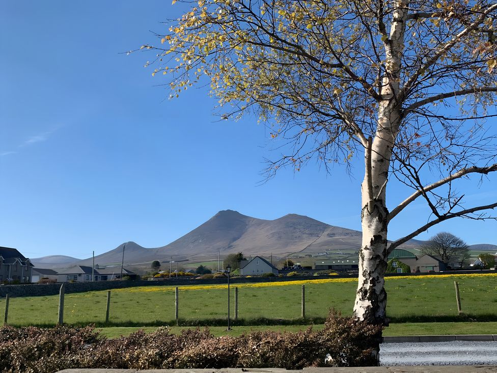 A view of mountains and a birch tree at 87 Ballyveaghmore Road Newry