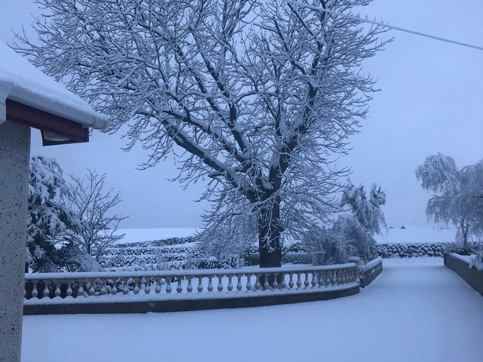 A snowy scene with trees and a path at 87 Ballyveaghmore Road in Newry