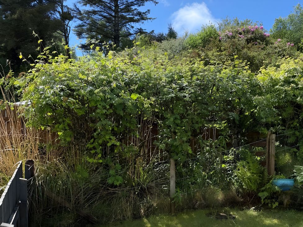 A garden with bushes and a fence at 9 Creag An Iolaire Near Portree