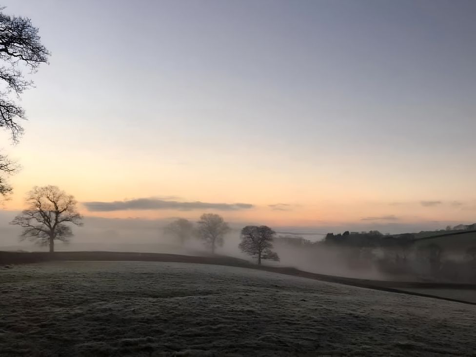 A landscape with fog and trees at Granary Barn in Winkleigh