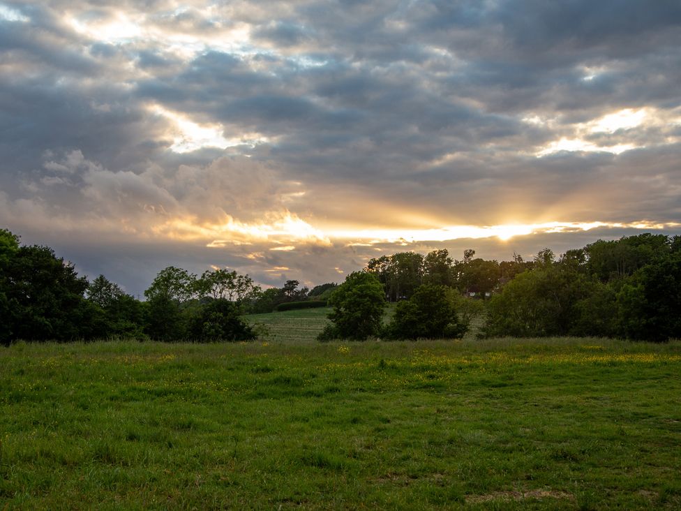 A landscape with a view of the sunset and trees in the field