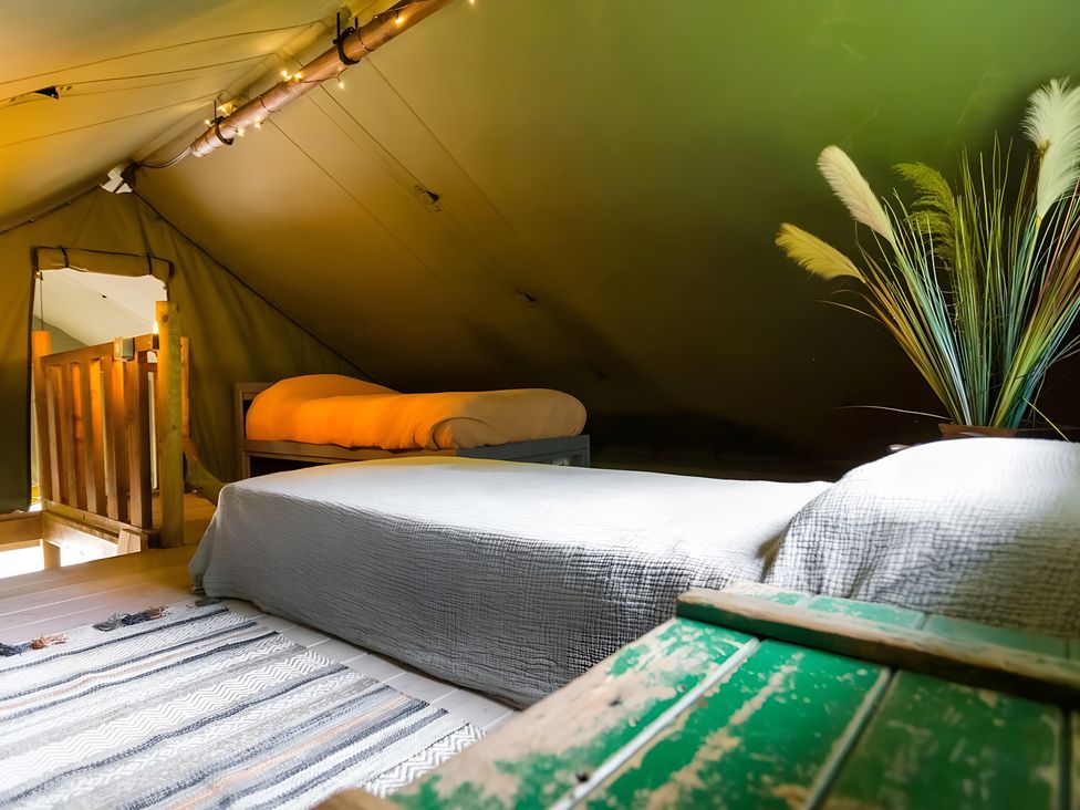 A tent interior with two beds and a decorative plant at Badger - Luxury Glamping Retreat in Battle