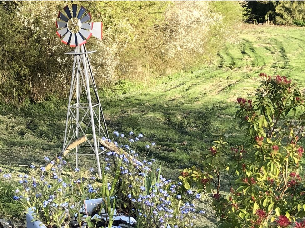A windmill and flowers in a field at Tylands in Camelford