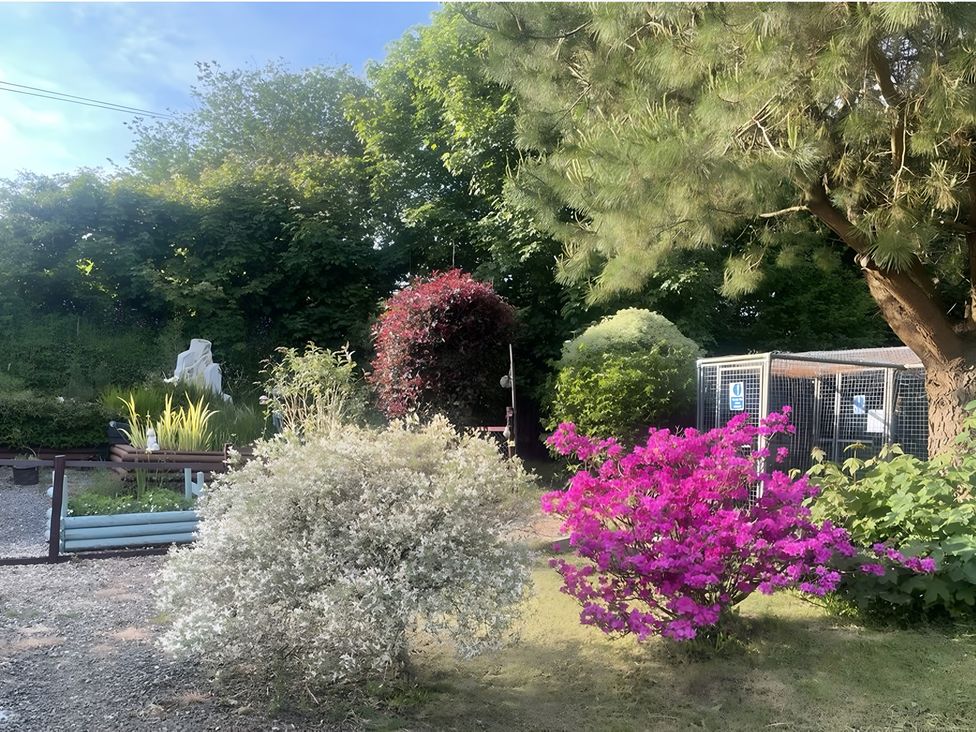 A garden with various plants and a shed at Tylands in Camelford