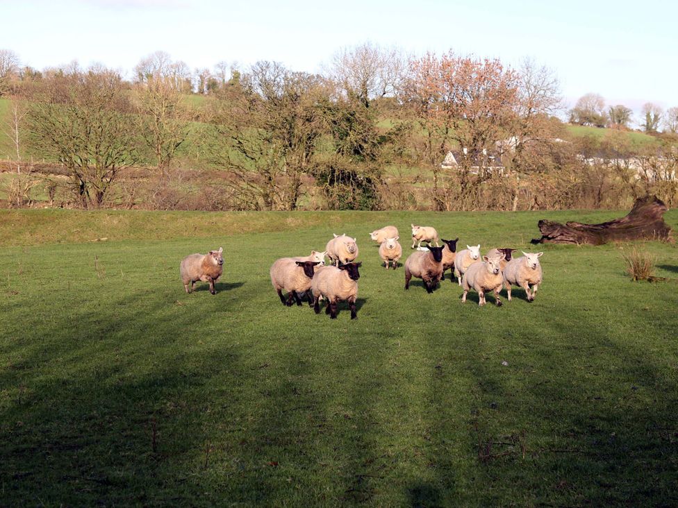 The Farmhouse -  - 1193726 - thumbnail photo 18