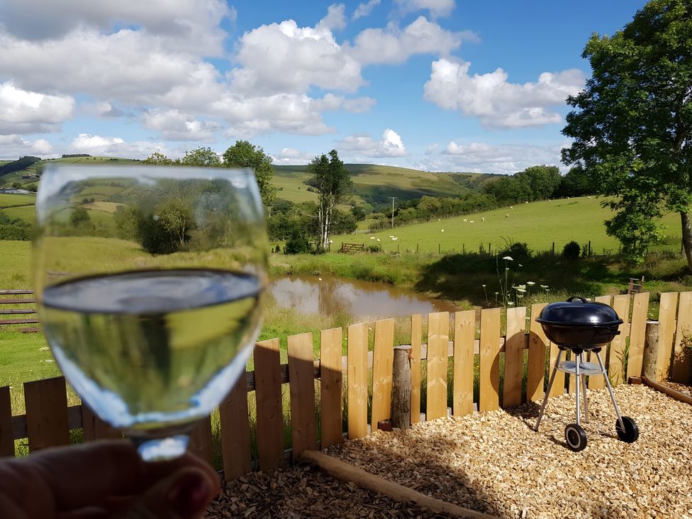 An outdoor area with a glass of drink, a pond, and a barbecue at Bryn Mawr Cabin in Craven Arms
