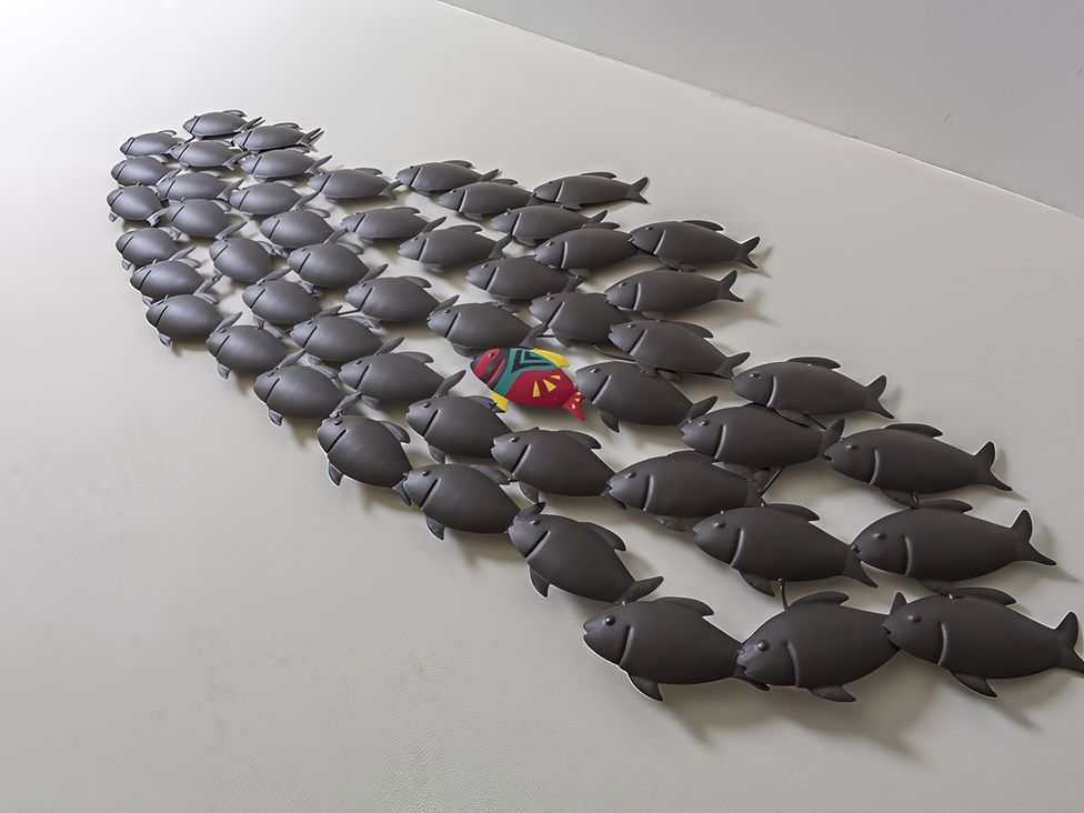 A group of decorative fish arranged in a pattern indoors at Villa 8, Estura in Salcombe