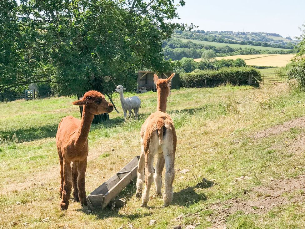 The Granary - Northumberland - 1193791 - thumbnail photo 44