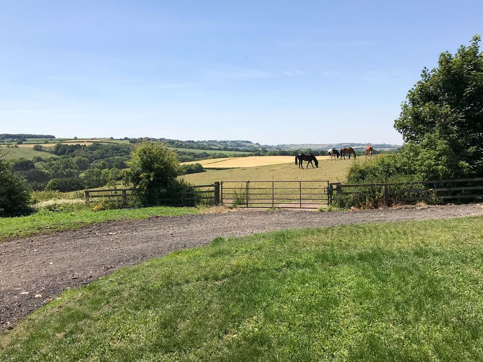 Horses grazing in a field with a fence and gate at The Granary in Durham
