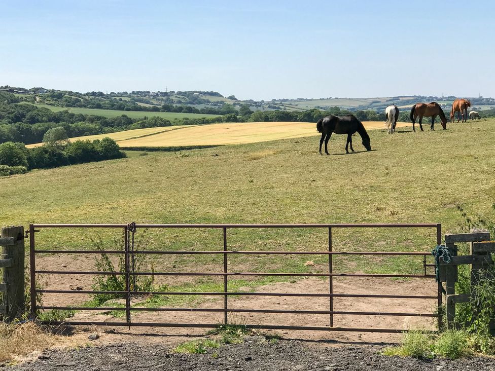 A gate with horses grazing in a field at The Granary in Durham