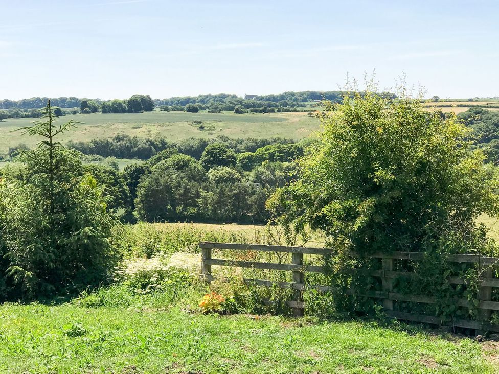 A view of a field and trees in the countryside at The Granary in Durham