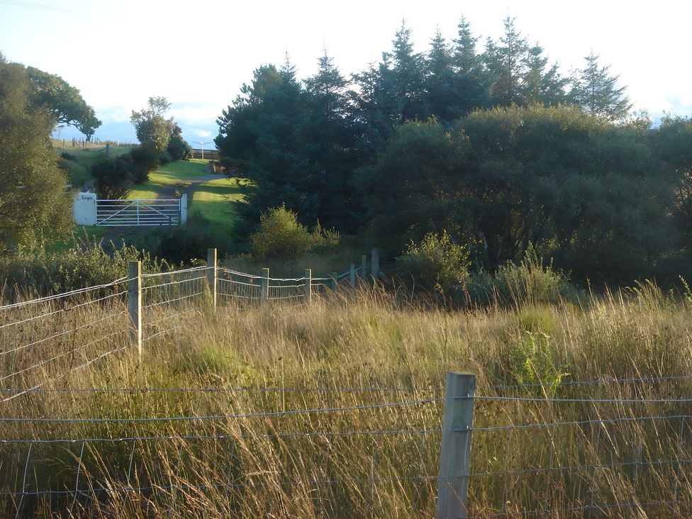 A pathway leading to a gate surrounded by trees and grass at Erisgeir in Isle of Mull